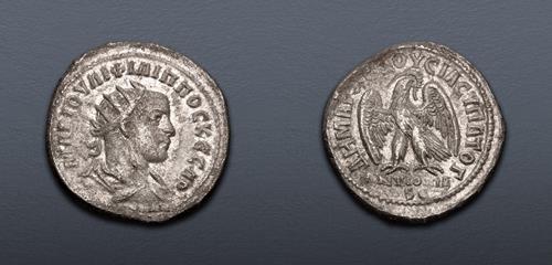 Lot 405 image