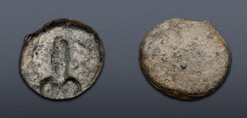 Lot 484 image