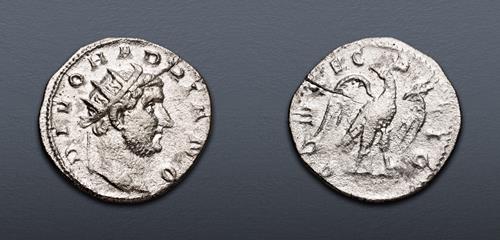 Lot 493 image