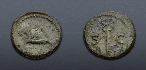 Lot 494 image