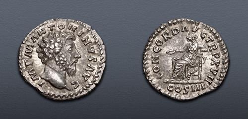 Lot 500 image