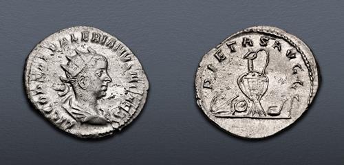 Lot 601 image