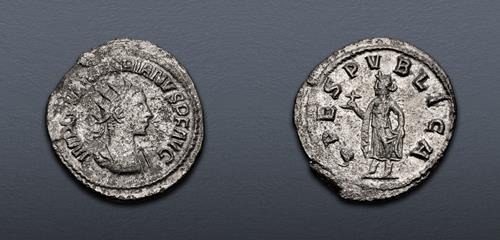 Lot 602 image