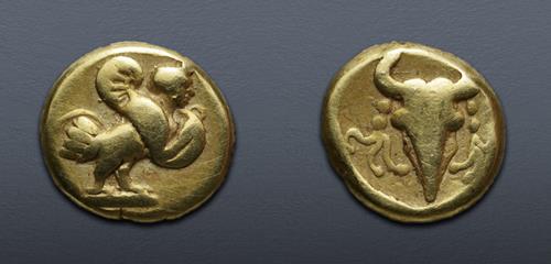 Lot nuber 14