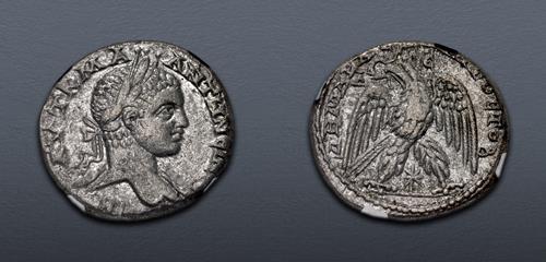 Lot 337 image