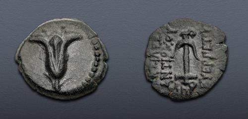 Lot 369 image