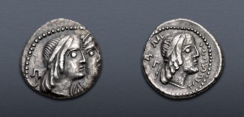 Lot 504 image
