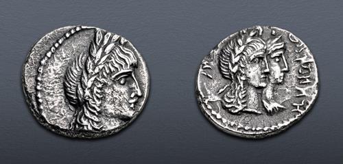 Lot 505 image