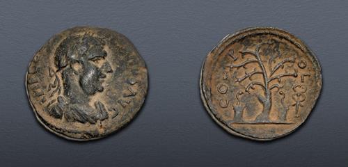 Lot 681 image