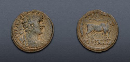 Lot 701 image