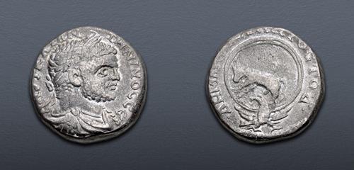 Lot 707 image
