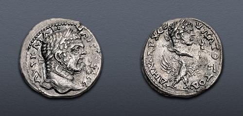 Lot 709 image