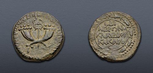Lot 711 image