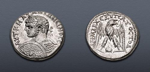 Lot 713 image