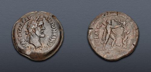 Lot 719 image
