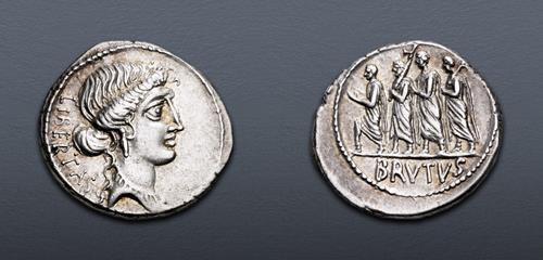 Lot 740 image