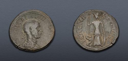 Lot 6390 image