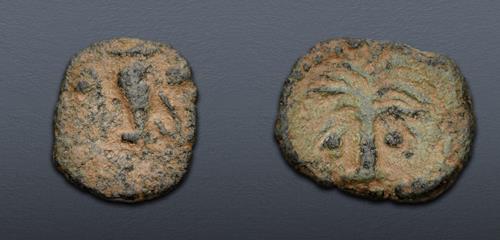 Lot 6501 image