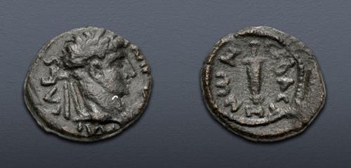 Lot 6516 image