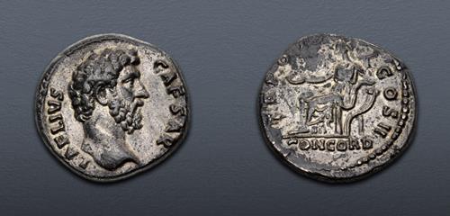 Lot 6635 image