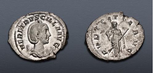 Lot 6683 image