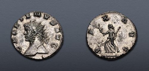 Lot 6696 image