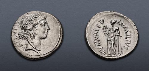 Lot 333 image