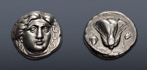 Lot nuber 164