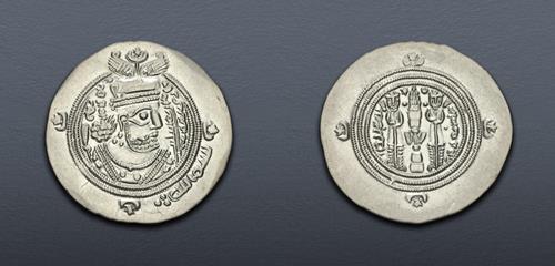Lot 7 image