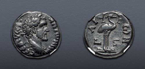 Lot 417 image