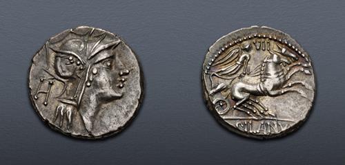 Lot 446 image