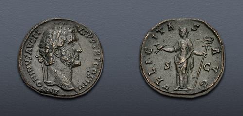 Lot 500 image