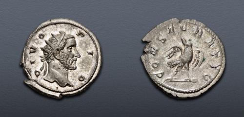 Lot 502 image