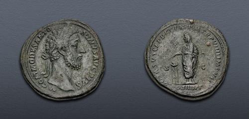 Lot 511 image