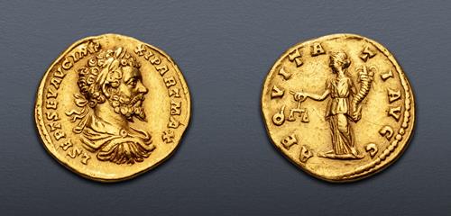 Lot 513 image