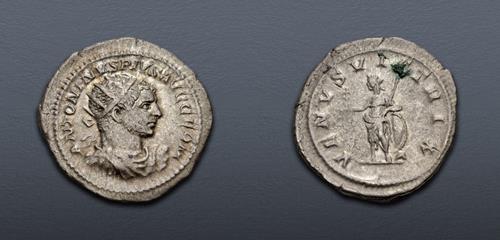 Lot 514 image