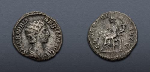 Lot 516 image