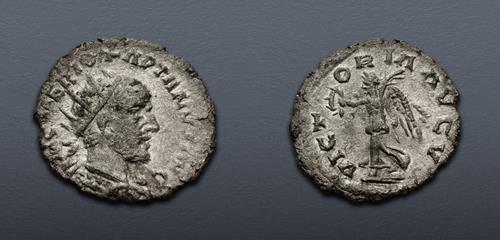 Lot 525 image