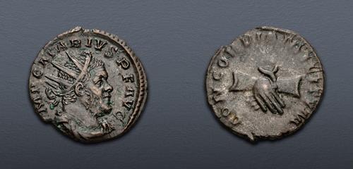 Lot 530 image
