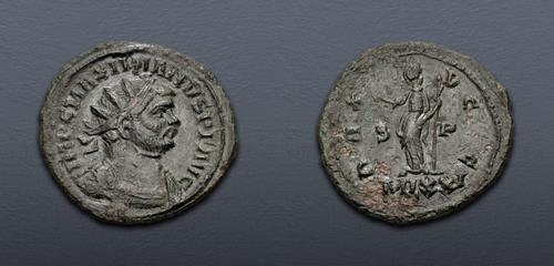 Lot 553 image