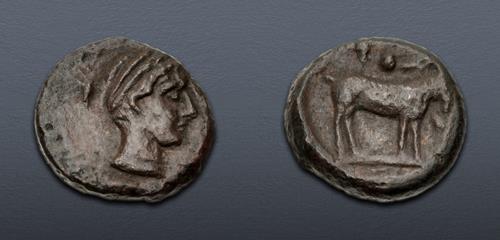 Lot 25 image