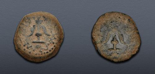 Lot 175 image