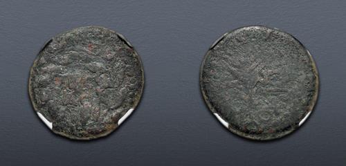 Lot 177 image