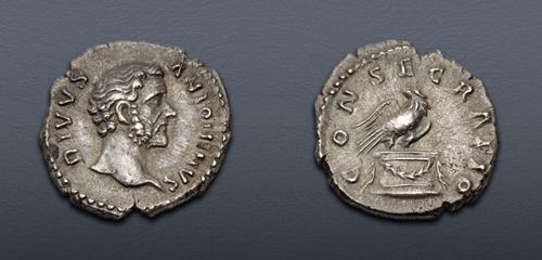 Lot 374 image