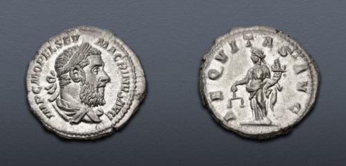 Lot 397 image
