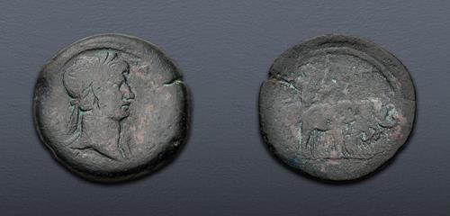 Lot 265 image