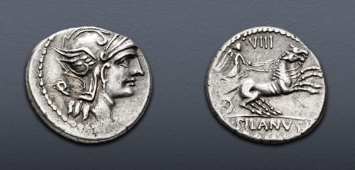 Lot 305 image