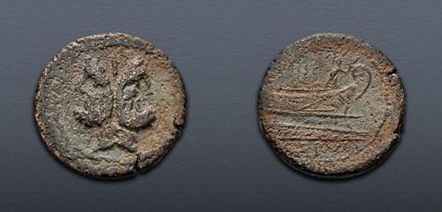 Lot 307 image