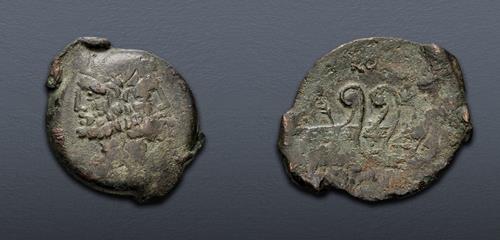 Lot 311 image