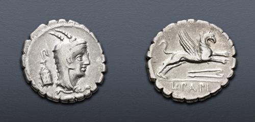 Lot 335 image
